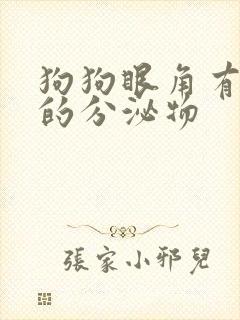 狗狗眼角有白色的分泌物