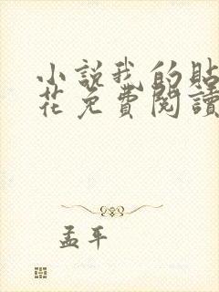 小说我的贴身校花免费阅读免费