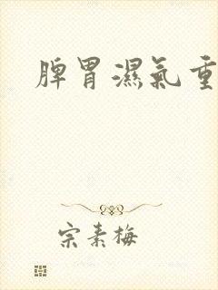 脾胃湿气重痰湿