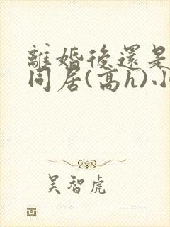 离婚后还是选择同居(高h)小说