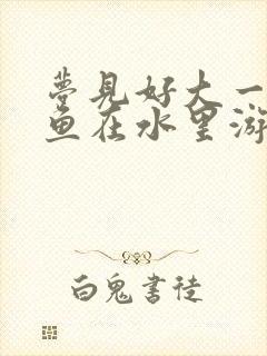 梦见好大一条鲤鱼在水里游