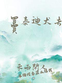 买泰迪犬去哪里买