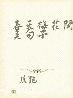 春天梅花开的唯美句子