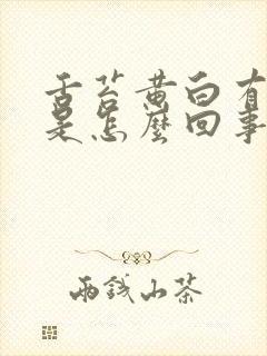 舌苔黄白有齿痕是怎么回事