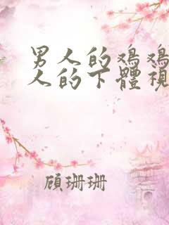 男人的鸡鸡插女人的下体视频