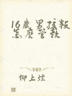 16岁男孩叛逆怎么管教