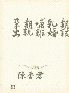 孕期哺乳期老公出轨离婚该怎么赔偿