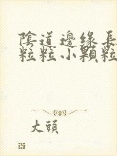 阴道边缘长了一粒粒小颗粒