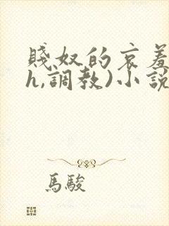 贱奴的哀羞(高h,调教)小说