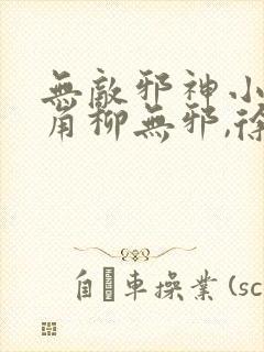 无敌邪神小说主角柳无邪,徐凌雪