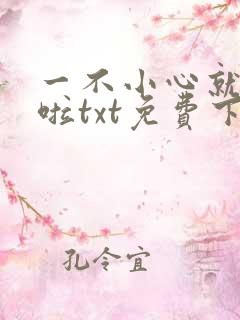 一不小心就无敌啦txt免费下载