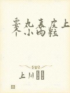 睾丸表皮上长了个小肉粒