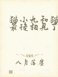 猫小九和猫小天最后相见了没