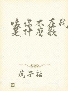咦你不在我不在是什么歌