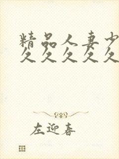 精品人妻少妇久久久久久久久
