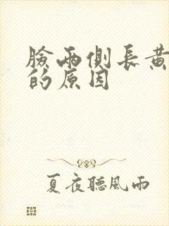 脸两侧长黄褐斑的原因