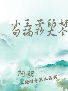 小王子的好词好句摘抄大全