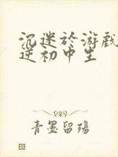 沉迷于游戏的叛逆初中生