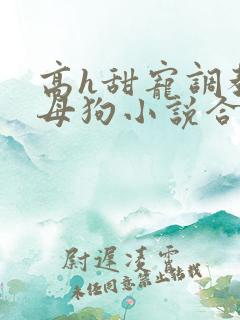 高h甜宠调教骚母狗小说合集