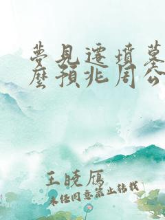 梦见迁坟墓是什么预兆周公解梦