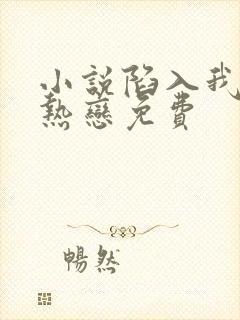 小说陷入我们的热恋免费