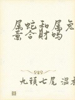 属蛇和属兔做生意合财吗