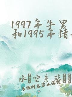 1997年牛男和1995年猪女相配吗