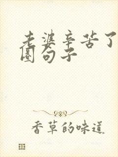 老婆辛苦了朋友圈句子