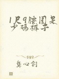 1尺9腰围是多少码裤子