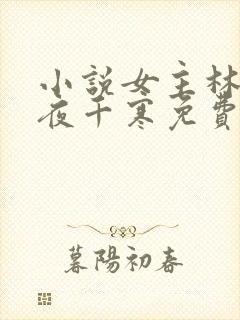 小说女主林苏苏夜千寒免费阅读