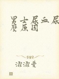 男士尿血尿是什么原因