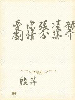 爱你张凌赫分集剧情分集介绍