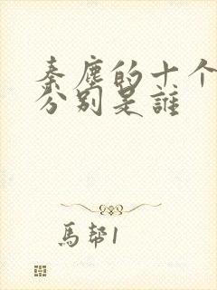 秦尘的十个老婆分别是谁