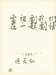 电视剧我们好好在一起剧情介绍