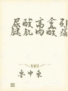 尿酸高会引起大腿肌肉酸痛吗