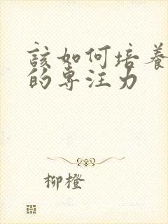 该如何培养孩子的专注力