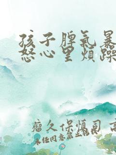 孩子脾气暴躁易怒心里烦躁