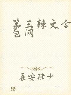 第三辣文合集书包网