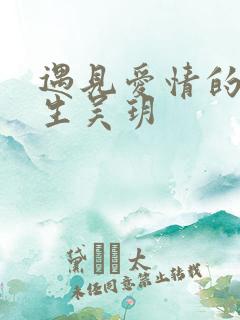 遇见爱情的利先生吴玥