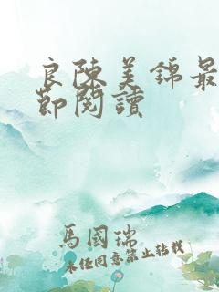 良陈美锦最新章节阅读