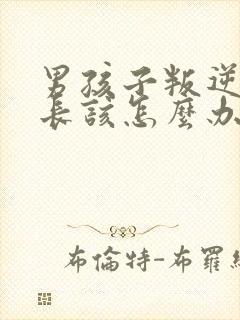 男孩子叛逆期家长该怎么办