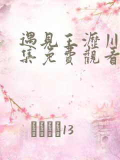 遇见王沥川38集免费观看