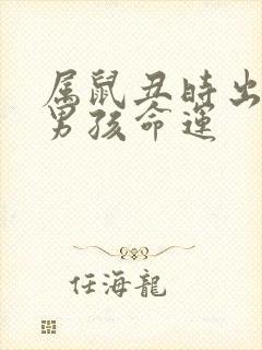 属鼠丑时出生的男孩命运