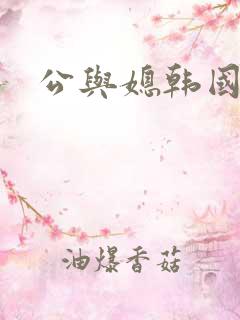 公与媳韩国电影