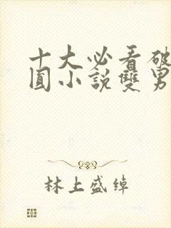 十大必看破镜重圆小说双男主