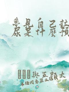 梦见自己拉屎拉尿是什么预兆女性