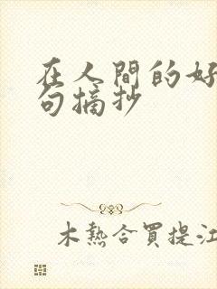 在人间的好词好句摘抄