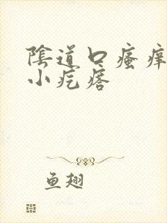 阴道口瘙痒 有小疙瘩