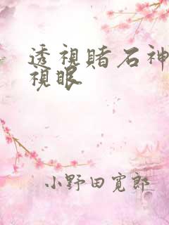 透视赌石神医透视眼