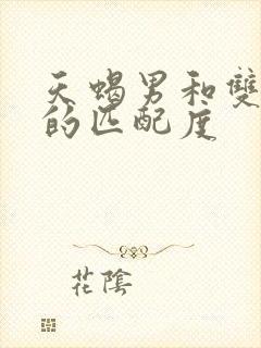 天蝎男和双子女的匹配度